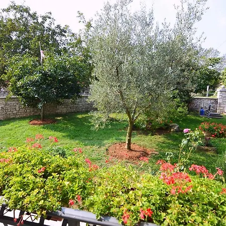 Garden Apartment Maria Vrsar Exterior photo