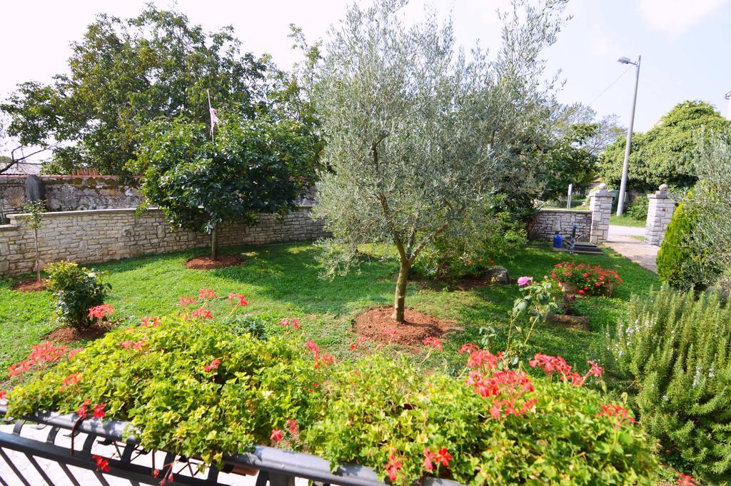 Apartment Garden Maria